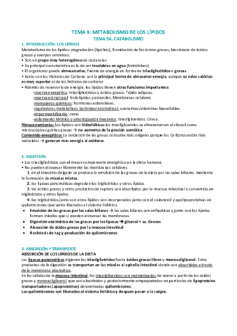 METABOLISMO-DE-LOS-LIPIDOS.pdf