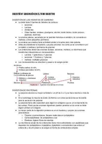 Digestion-y-absorcion-en-el-tubo-digestivo-1.pdf