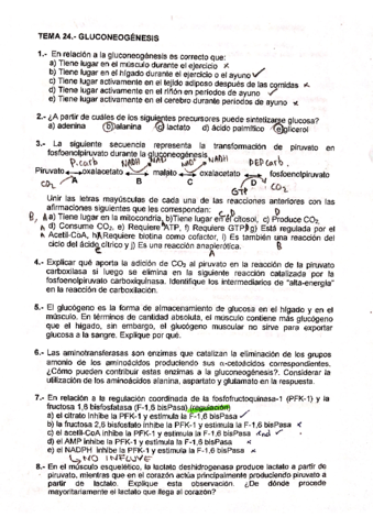 T24-problemas.pdf