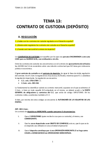 TEMA-13-DE-CUSTODIA.pdf