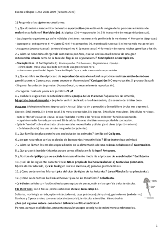 EXAMENRESUELTOParcial-1Bloque-1-Zoo.pdf