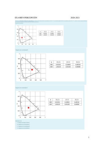 EXAMEN-PERCEPCION-2020-2021.pdf