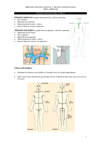 Tema-4-drenaje-copia.pdf