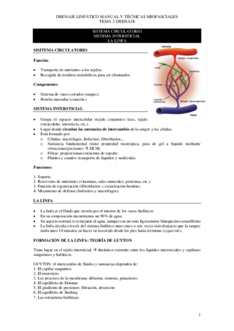 Tema-2-drenaje-copia.pdf
