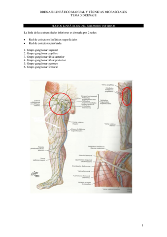 Tema-5-drenaje-copia.pdf