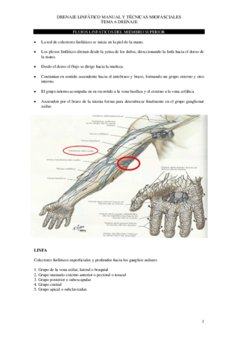 Tema-6-drenaje-copia.pdf