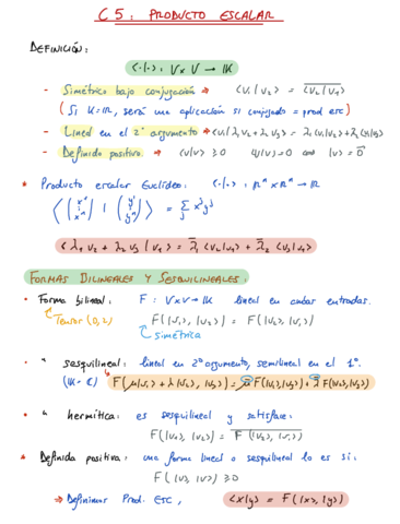 Resumen-C5.pdf