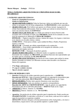 APUNTES.pdf