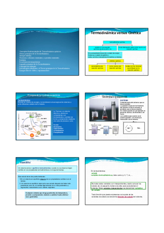 Tema-8-Termodinamica-y-Cinetica-Quimica.pdf