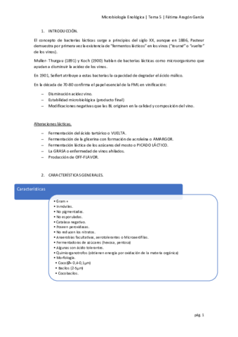 Tema 5.pdf