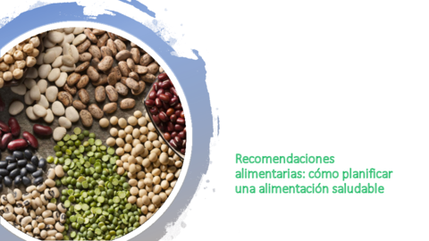 Grupos De Alimentos Pdf