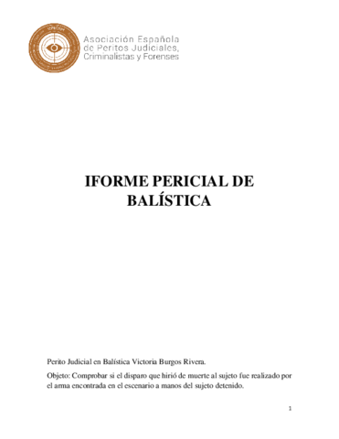 Informe pericial.pdf