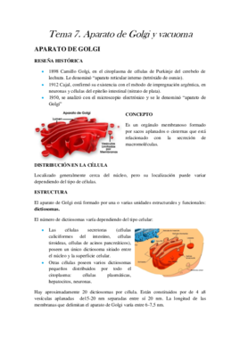 TEMA 7.pdf