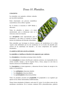 Tema 10.pdf