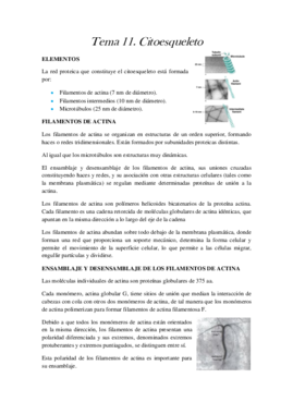 Tema 11.pdf