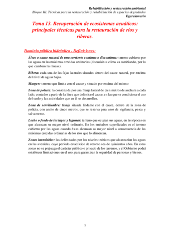 Tema 13 rra.pdf