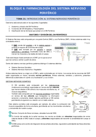 Tema-21.pdf