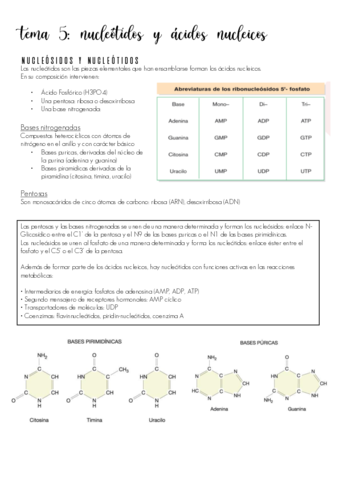 tema-5.pdf