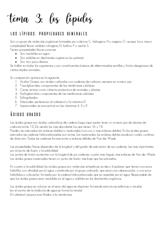 tema-3.pdf