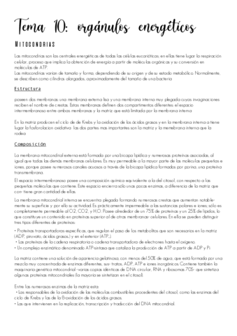 Tema-10.pdf