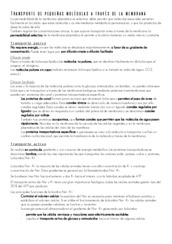 tema-7-II.pdf