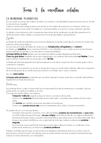 Tema-7.pdf