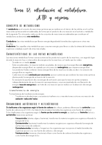 tema-12.pdf