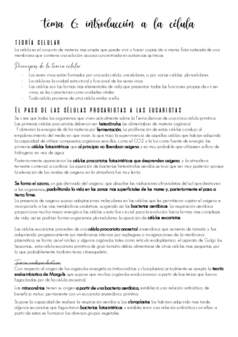 tema-6.pdf