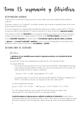 tema-13.pdf