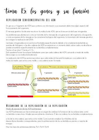 tema-15.pdf