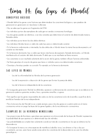 tema-14.pdf