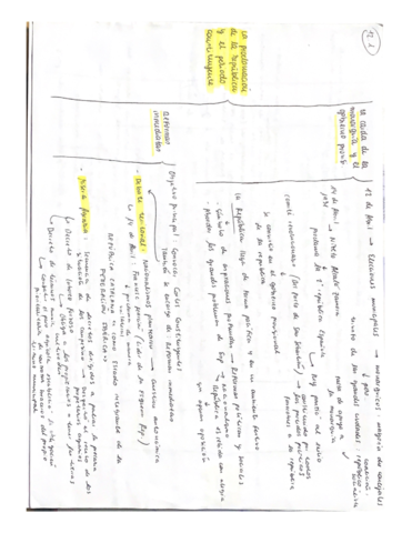 historia-1.pdf