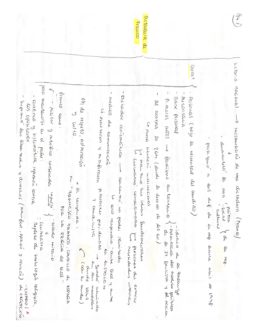 historia-5.pdf