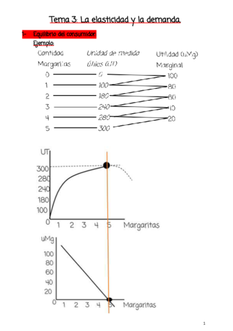 Tema-3-La-elasticidad-y-la-demanda.pdf