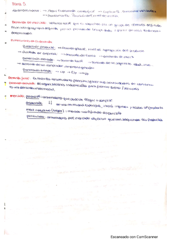 TEMA5.pdf