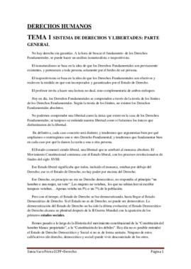 TEMARIO DDHH.pdf