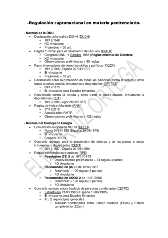 ESQUEMA-TEMA-1-PENITENCIARIO.pdf
