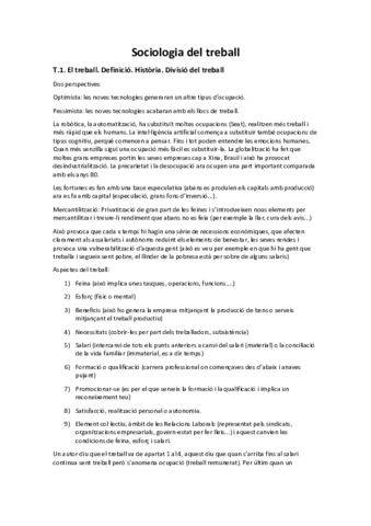 Sociologia-del-treball-apuntes.pdf