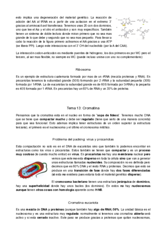 macro-tema-13.pdf