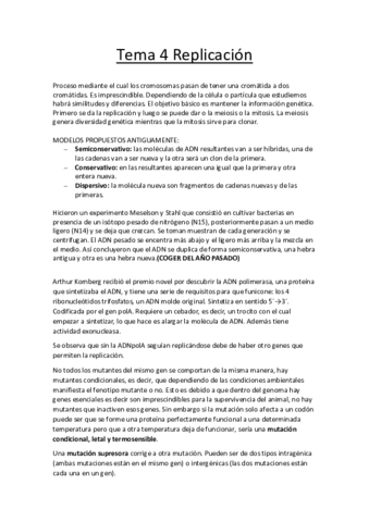 tema 4.pdf