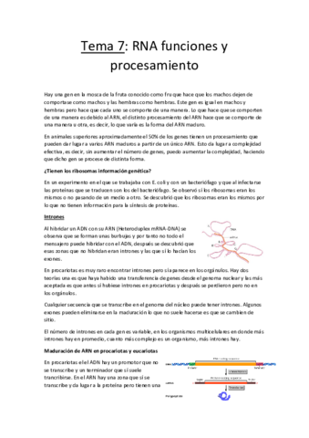 Tema 7.pdf
