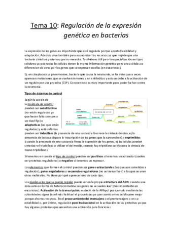 Tema 10.pdf