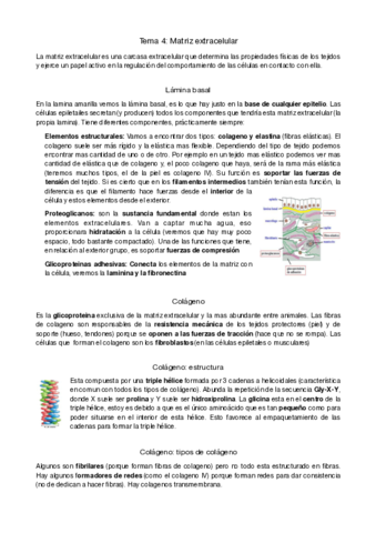 bio-cel-tema-4.pdf