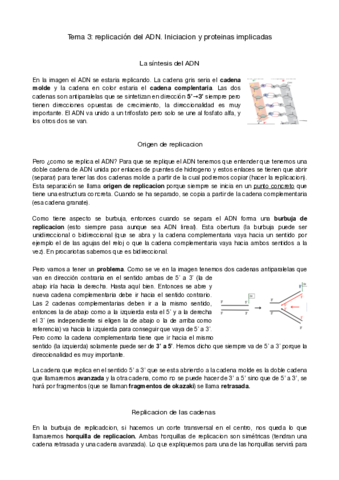 genetica-molecular-tema-3.pdf