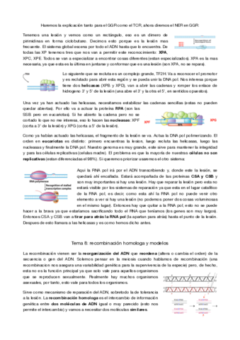 genetica-molecular-tema-8-y-9.pdf