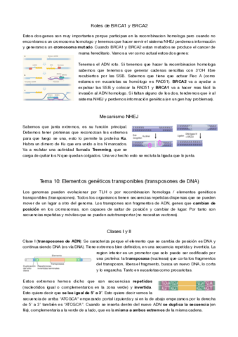 genetica-molecular-tema-10.pdf
