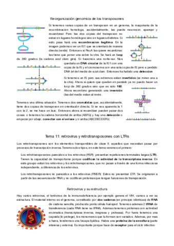 genetica-molecular-tema-11-y12.pdf