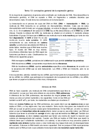 genetica-molecular-tema-13-y-14.pdf