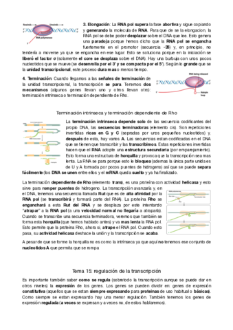 genetica-molecular-tema-15.pdf