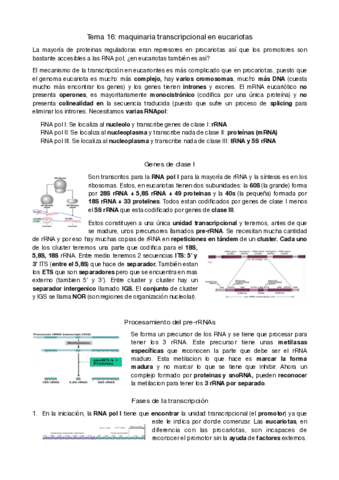 genetica-molecular-tema-16-y-17-.pdf